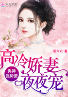 男神强势撩高冷娇妻夜夜宠